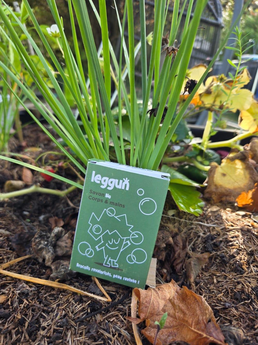 Boite d'un savon au brocoli déclassé posé sur des végétaux dans un potager .D'Ici et de Claire 