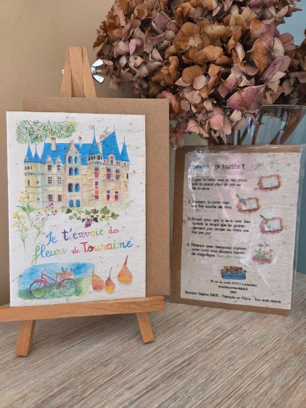 cartes postales avec mode d'emploi des cartes à planter de "les cartes de lulu " , D'Ici et de claire 