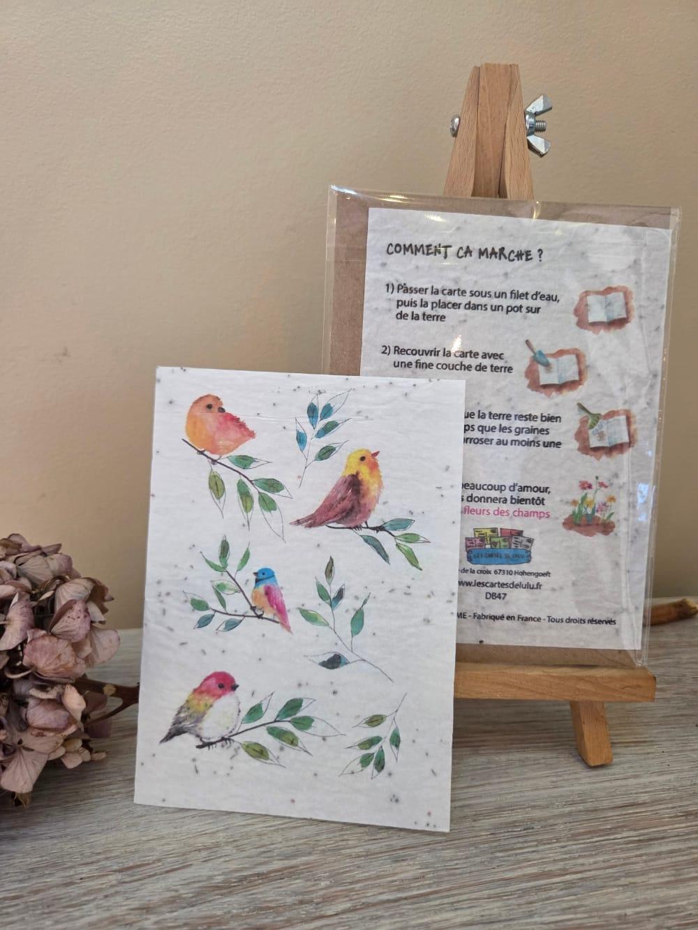 deux cartes postales ensemencées avec un dessin oiseaux et feuillage , conseils d'utilisation pour les cartes ensemencées des cartes de lulu - d'ici et de claire 