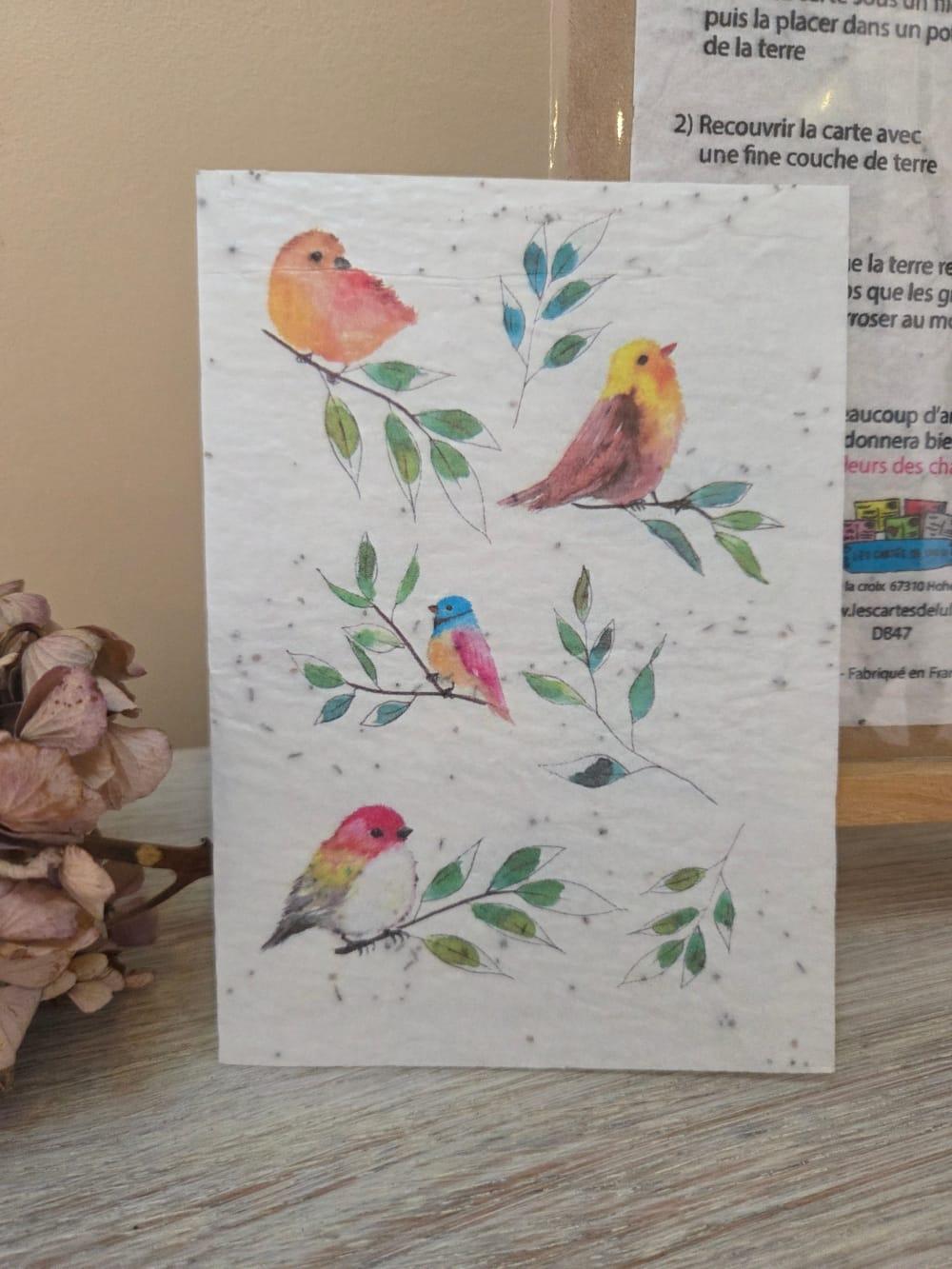 Carte à planter " Oiseaux" - Toutes occasions - Les cartes de Lulu - Les cartes de Lulu, artisanat Bas-Rhin