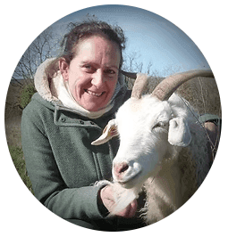 Cachemire de Touraine — Production de laine du cachemire bio, artisan à lignieres de touraine