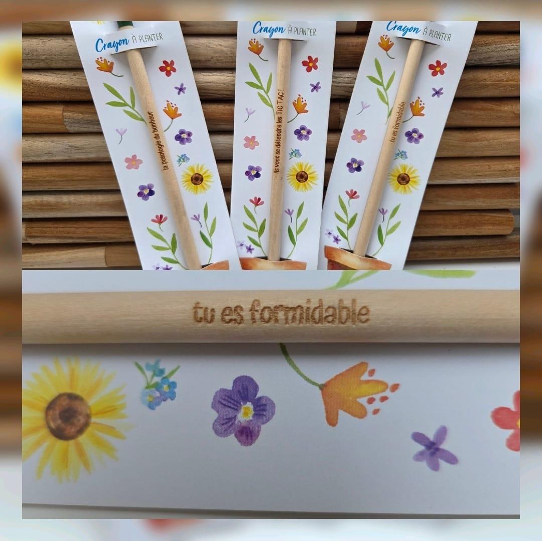 crayons à planter avec différents messages