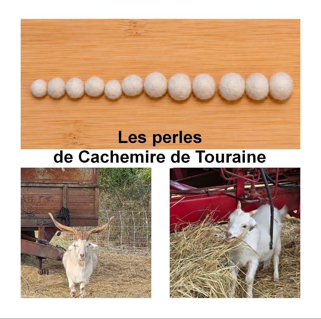 plusieurs perles en laine de cachemire et deux chèvres du cachemire de cachemire de touraine 